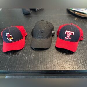 Toledo Mud Hens SnapBack baseball hat
